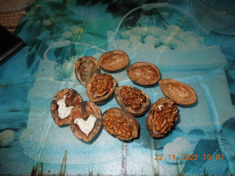 DSCN9319.JPG