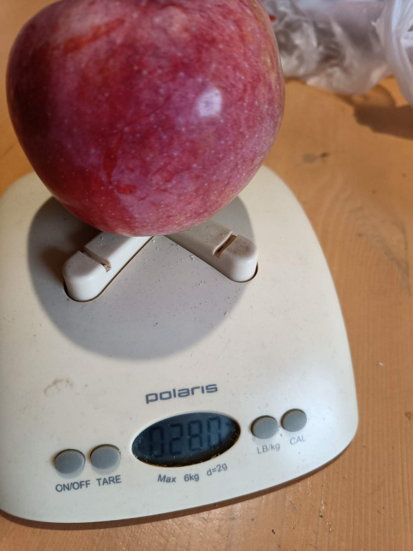 0_IMG20221009170355.jpg