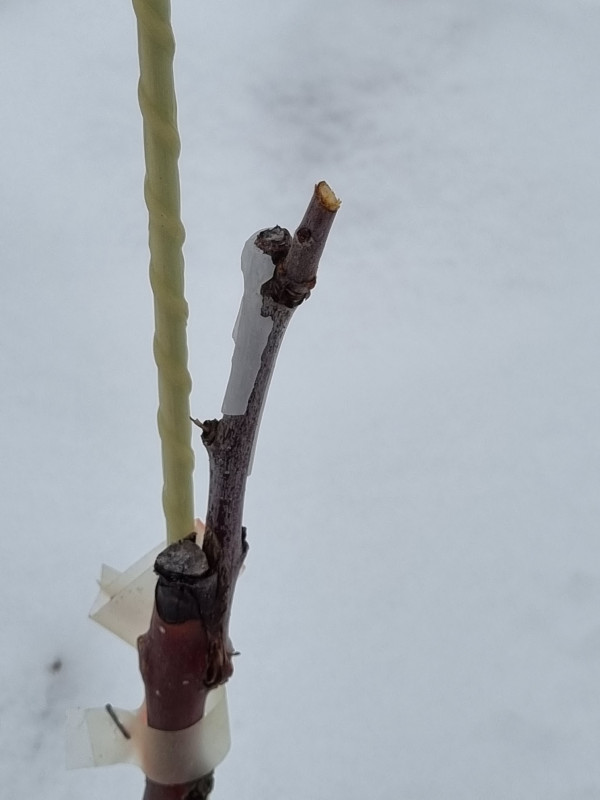 20221126_120653.jpg