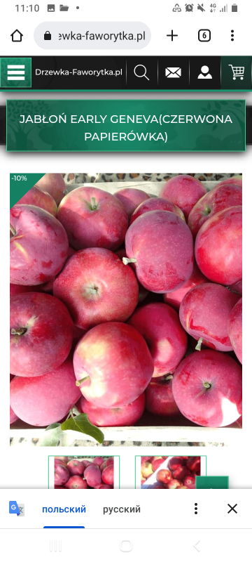 Screenshot_20221127-111007.png