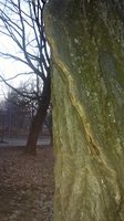 2013-11-05-922.jpg