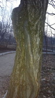 2013-11-05-920.jpg