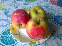 августа0359.jpg