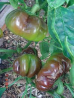DSC08643.JPG