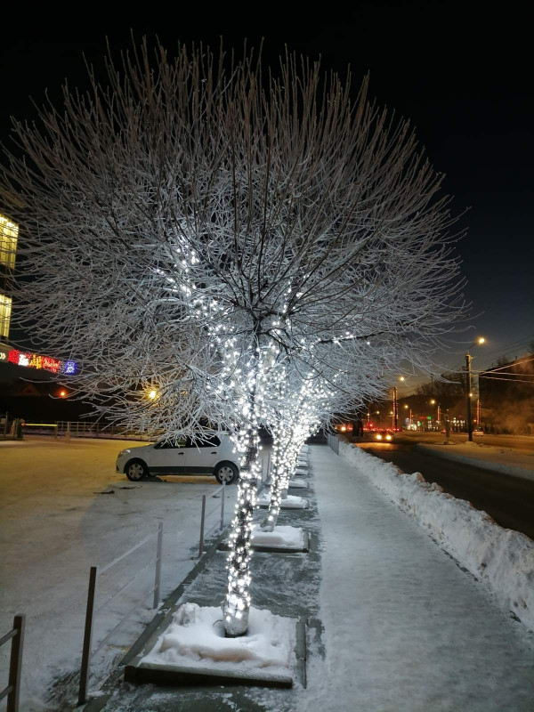 IMG-c91b69a9305bcdd6582a6ed9e9d91c2e-V.jpg