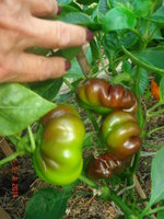 DSC08707.JPG