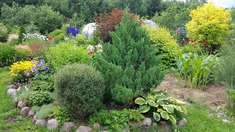 20220710_154743.jpg