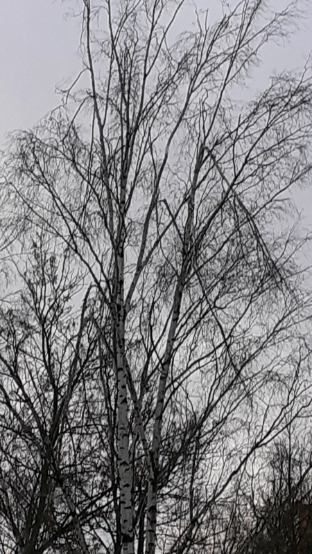 20221212_090229.jpg