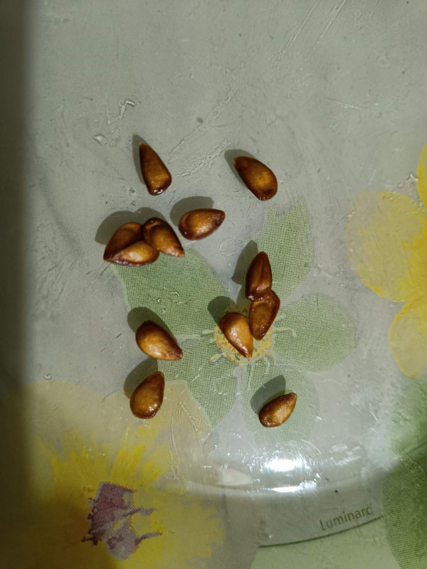 0_IMG20221215201400.jpg