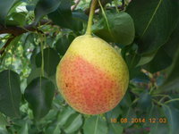 DSCN4757.JPG
