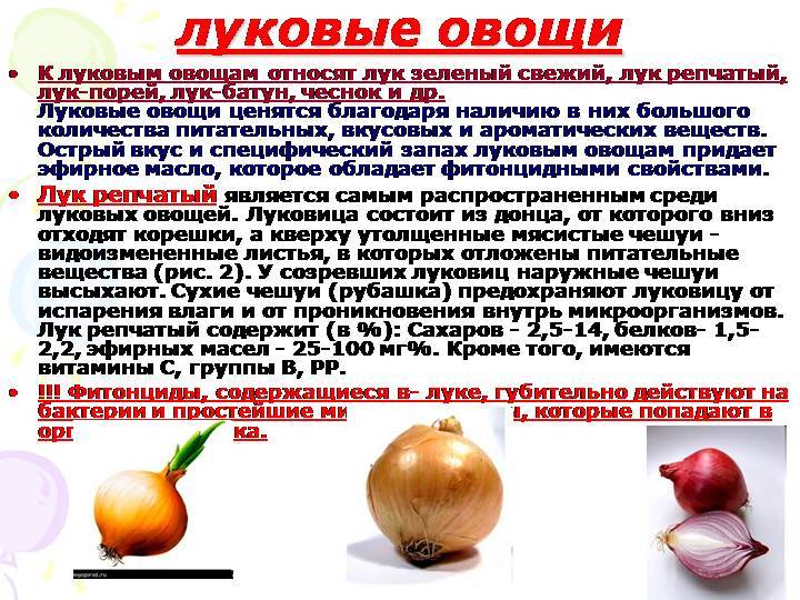 b75155e7d090fc8c98d2d894818b9ac4.jpeg