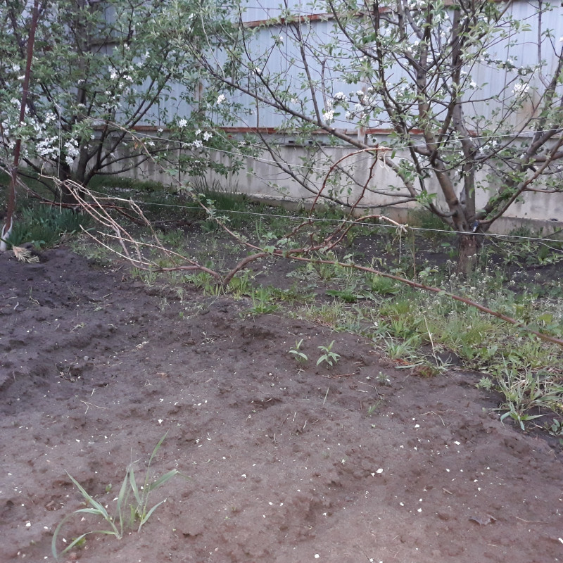 20200504_194527.jpg