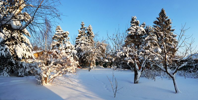 0889_0890_Panorama1.jpg