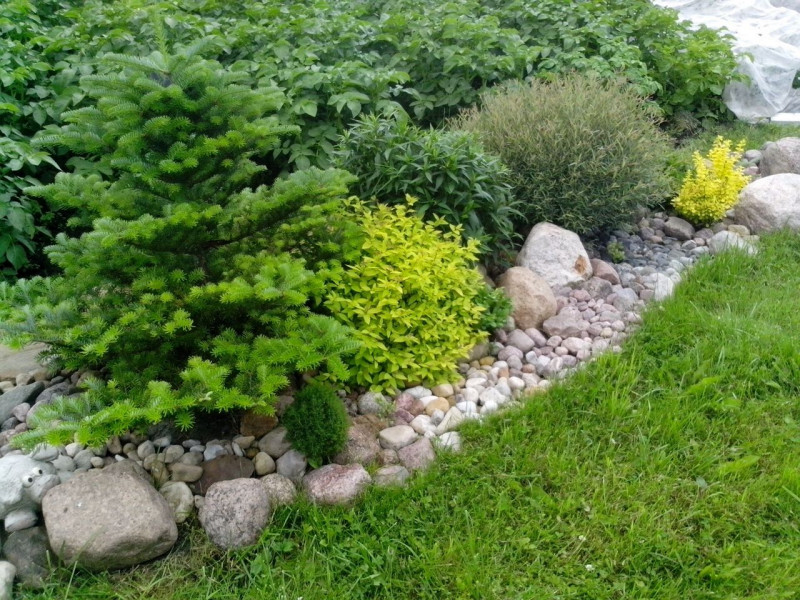 IMG_20160623_162330.jpg
