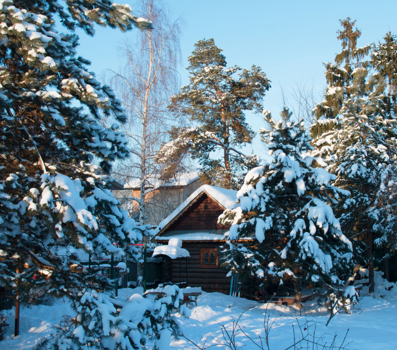D71_5554.jpg
