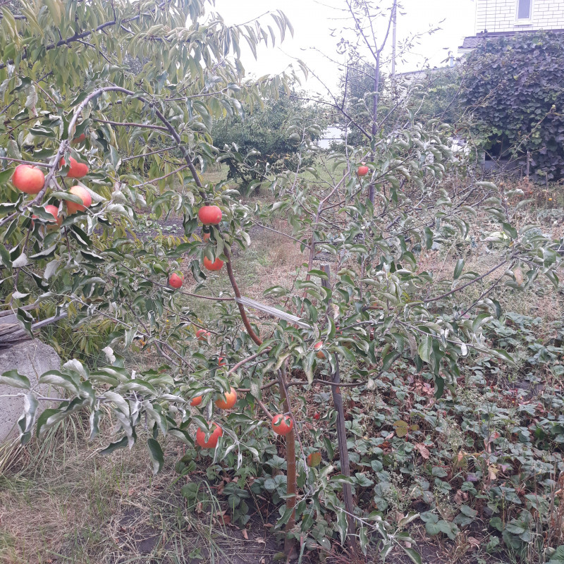 20220911_153127.jpg