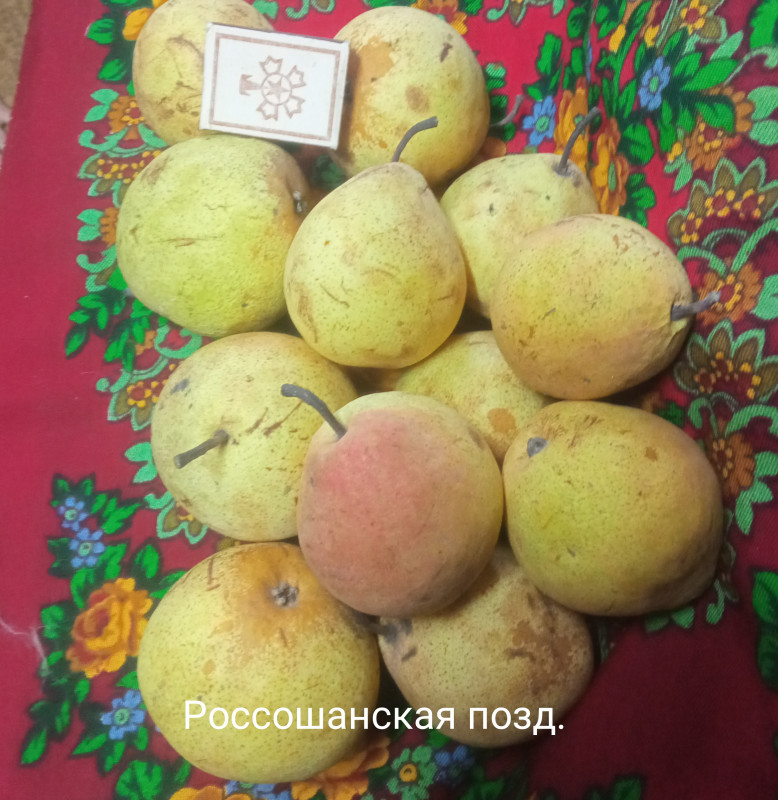 IMG_20221223_114641.jpg