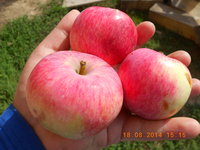DSCN4801.JPG