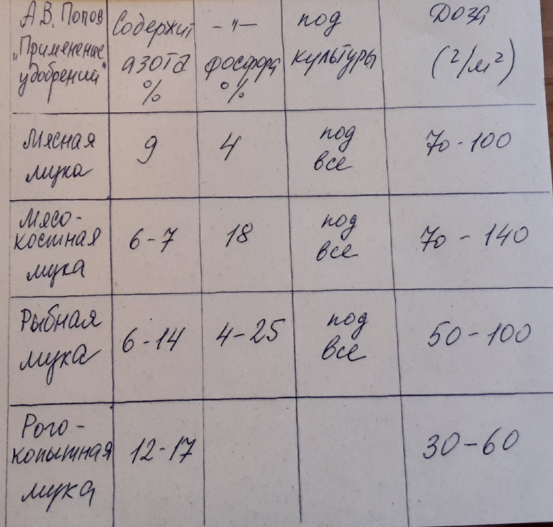 20230126_125031.jpg