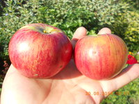 DSCN4804.JPG