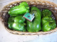 IMG_6051.jpg