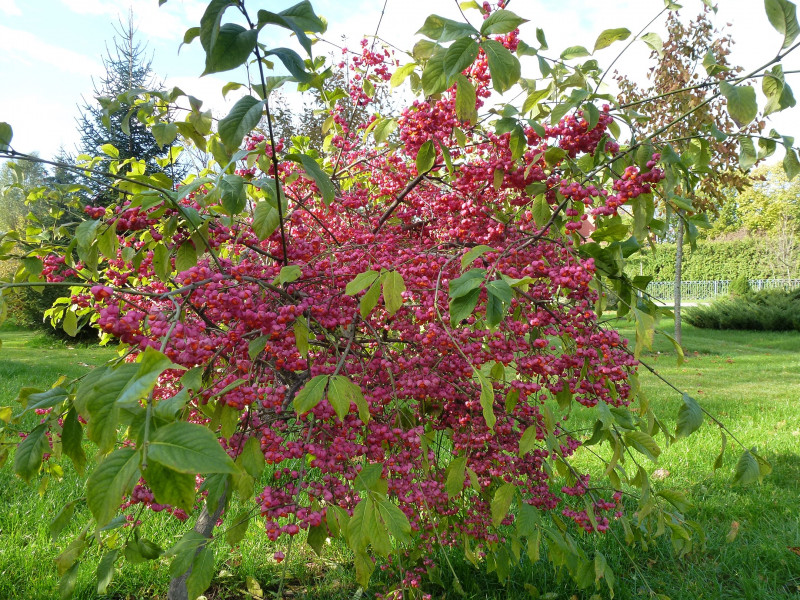 P1080566.JPG