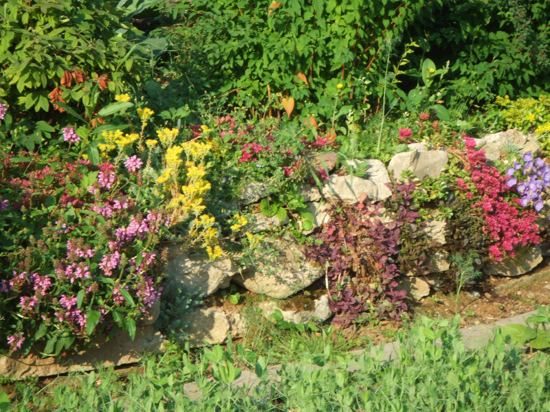 DSCF4239.JPG