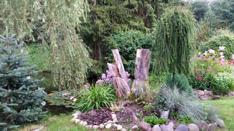 20220802_184816.jpg