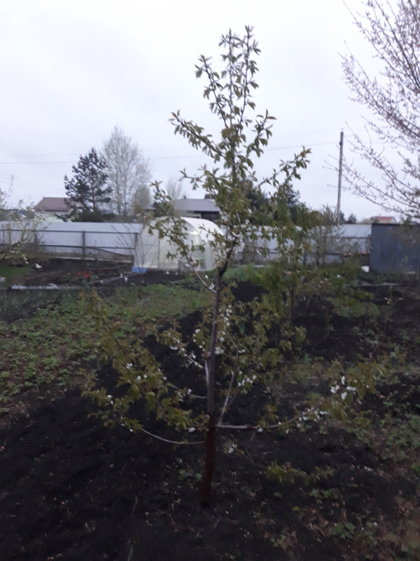20190501_193306.jpg