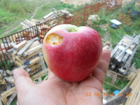 DSCN4849.JPG