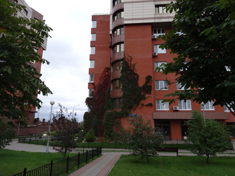 DSC00829ф.jpg