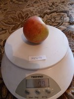 Мечта