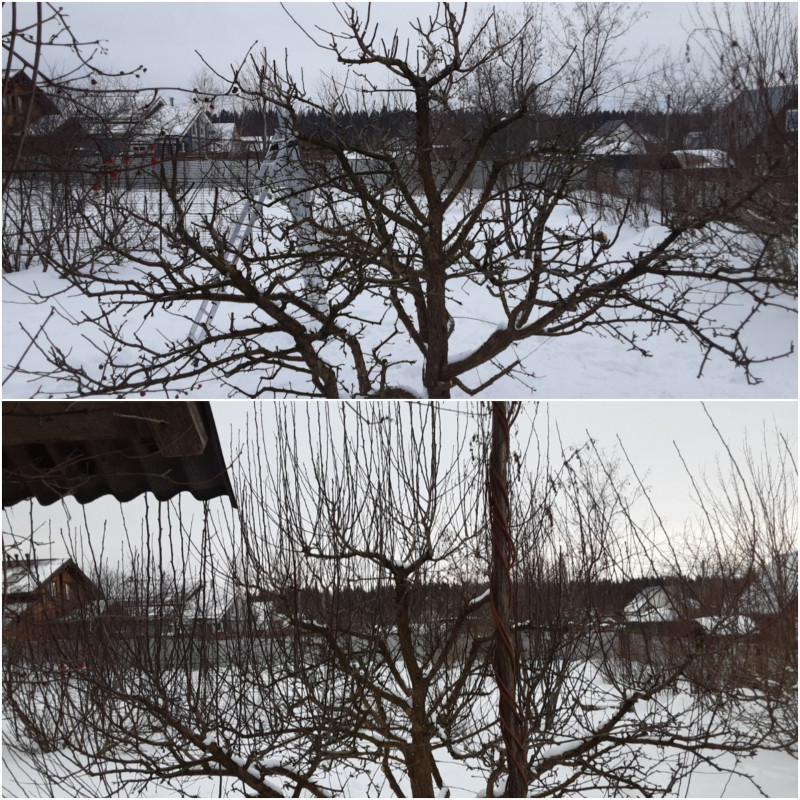 20230209_180422.jpg