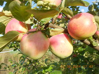 DSCN4854.JPG