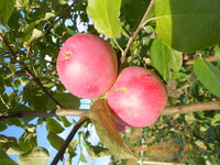 DSCN4862.JPG