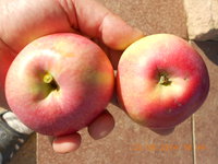 DSCN4866.JPG