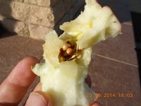 DSCN4865.JPG