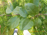 DSCN4859.JPG