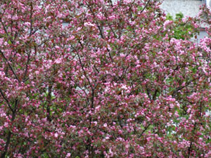DSC00436w.jpg