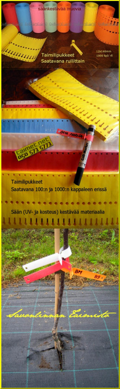 taimilipukkkeet_s_.jpeg