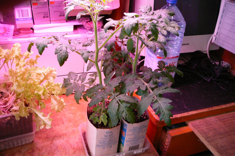 P1020027.JPG