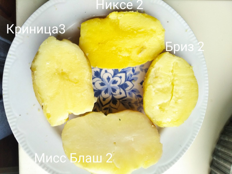 изображение_viber_2023-03-03_17-42-41-682.jpg