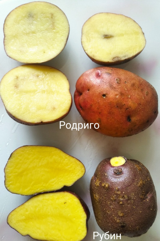 изображение_viber_2023-03-04_15-02-59-337.jpg