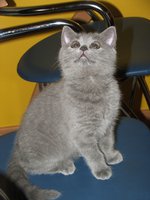 DSCF2287.JPG
