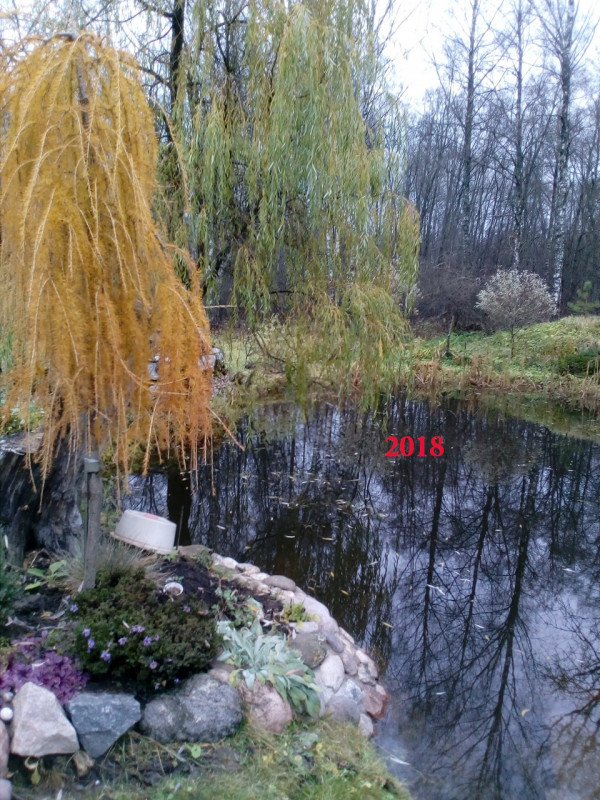 ОСЕНЬ