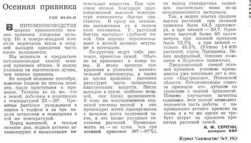 Серёгин.PNG