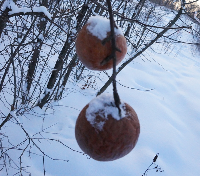 СС1.11.01.21.jpg