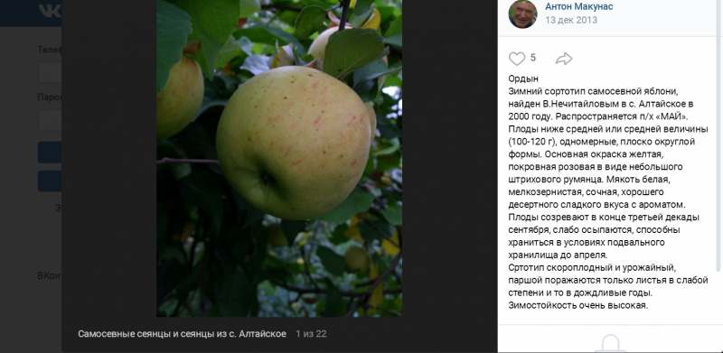 7Ордын о в.PNG