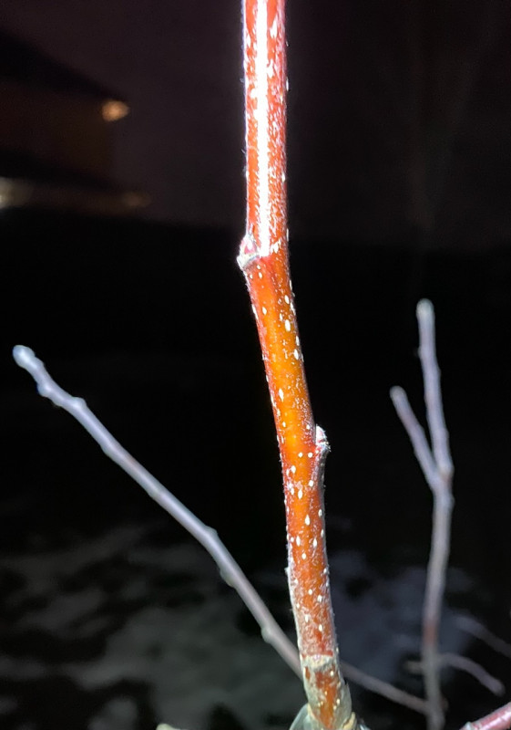 60A2670D-0977-4E55-AA9E-764F867F7C33.jpeg