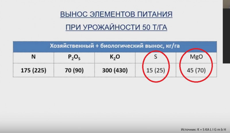magnii.jpg